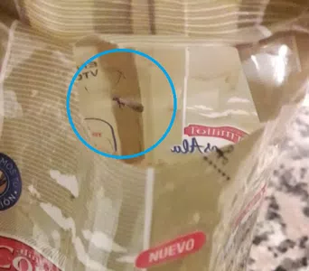 Bichos en arroz integral dr.cormillot