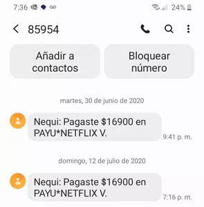 Payu*netflix