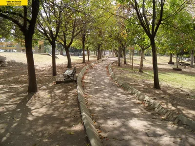 Que pinten los postes de luz y pongan luces led en las calles alrededor  ricardo