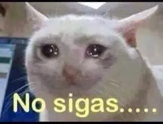 Justicia penal a "bellavei"'