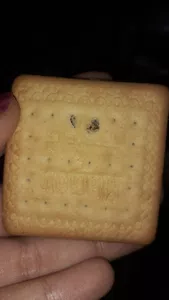 Galletitas manon con bichos