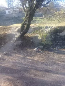 Como abrir la cuenta brubank para sacar la plata