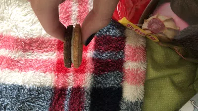 Error en la galletita