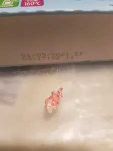Plástico en bizcochuelo exquisita