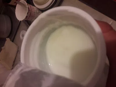 Yogurt fuera de estado y con olor a podrido