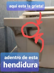 Por fisura en costado pierde agua de descarga, inodoro bari