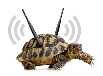 Tvfuego y el servicio de internet problematico
