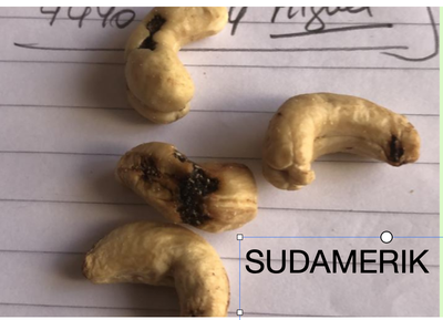 Producto de semillas secas con daños que la empresa no explica