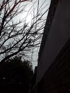 Peligro al afectar mi servicio