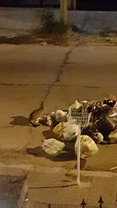 Desparramo de residuos
