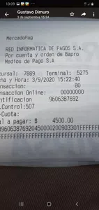No se realizo mi pago