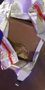 Marroc con gusano