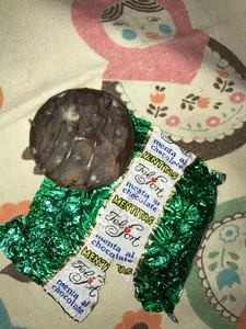Encontre moho en una moneda de menta