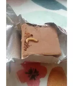 Gusanos