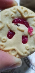 Galletita con bicho