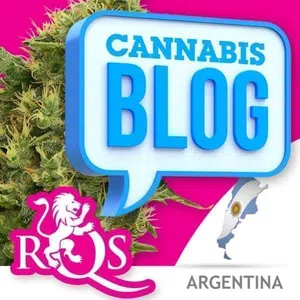 Royal queen seeds argentina estafadores!!!