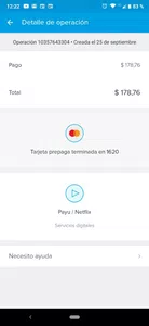 Payu/netflix   $178,76