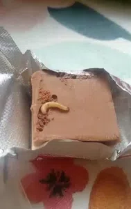 Marroc con un gusano