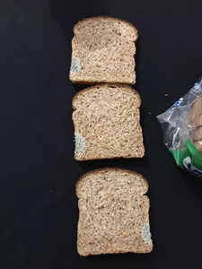 Pan en mal estado