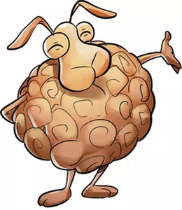 Cobranzas por caja en bco.nasion