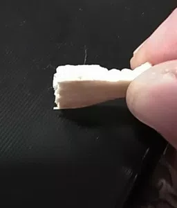 Pelo en galletita vocacion