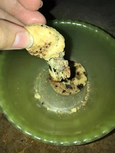 Plástico dentro de galleta pepito