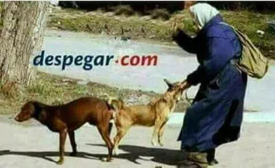 Acreditar pago a vendedor