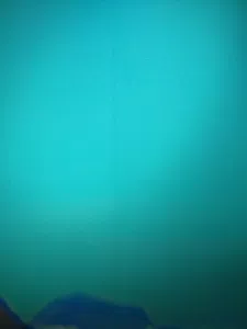 Musimundo Pantalla de TV con falla 