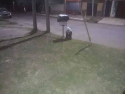 Los recolectores compran cerveza en vez de juntar la basura