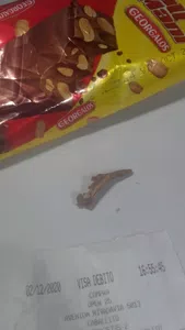 Presencia de una ramita en el chocolate (tengo fotos)