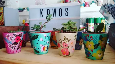 Fraude kowos