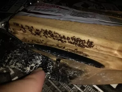 Hormigas en el producto