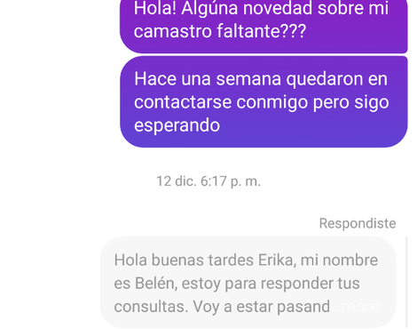 Camastro faltante (se pagó por dos sillones, sólo llegó uno)!!!