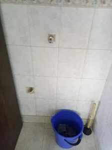 Cuando llegara el pedido?