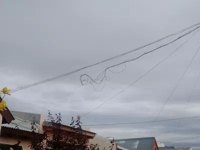 Que reintegren el servicio