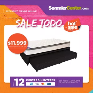 Sin entrega desde 12/02/2020 un (1) diván cama plaza y media