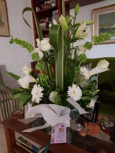 Compensación