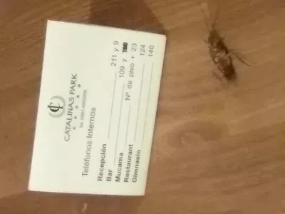 Ati viajes*hacete cargo