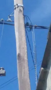 Retiren la linea trucha de mi vecino y no me corten la luz