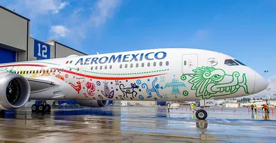 Que paguen los danos aeromexico