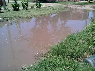 Que se arregle el hundimiento del mejorado y se realicen obras de zanjeo