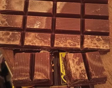 Hongos en mi chocolate