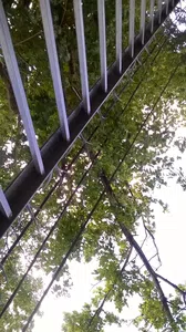 Poda de ramas que estan sobre el tendido electrico de alta tension