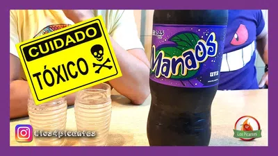 Manaos vencida