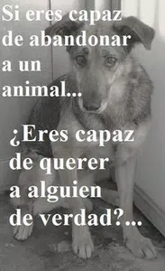 Maltrato animal