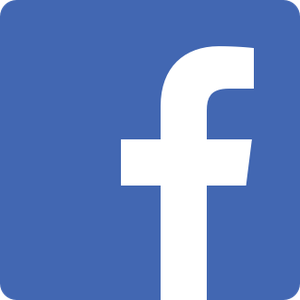 Facebook Por no tener acceso ami cuenta de free fire no puedo jugar  mi nombre e
