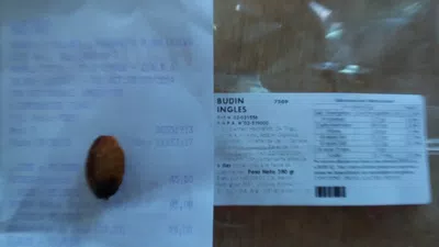 Reclamo budín ingles ::: carozo de ciruela entero dentro de la masa