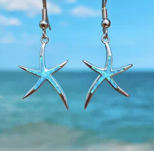 Compré unos aretes que pagué por ebanx y nunca recibí el pedido