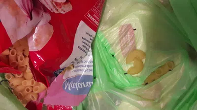 Mejor servicio y mas testeo en sus productos