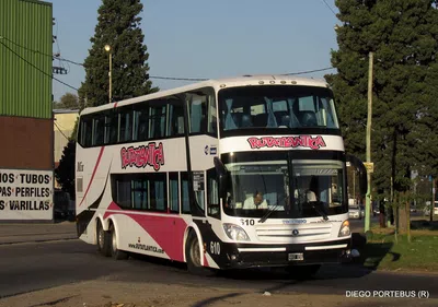 Pasajero viajo parado